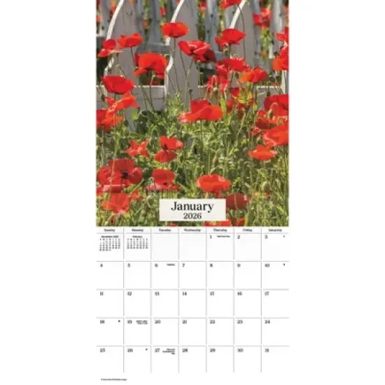 Trends International 2026 Texas Wildflowers 12"x12" Wall Calendar image {1}