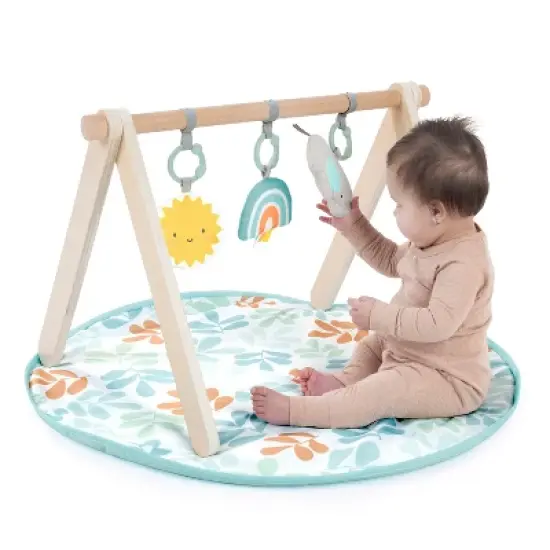Ingenuity Ity Wood Play Activity Gym image {7}