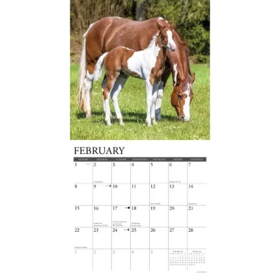 Willow Creek Press 2026 Horses Wall Calendar image {2}