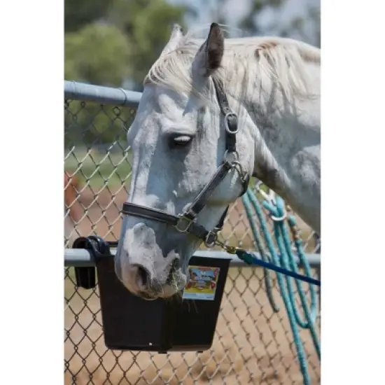 Little Giant HF15BLACK Heavy Duty 15 Quart Mountable Plastic Hook Over Feeder, Black image {3}