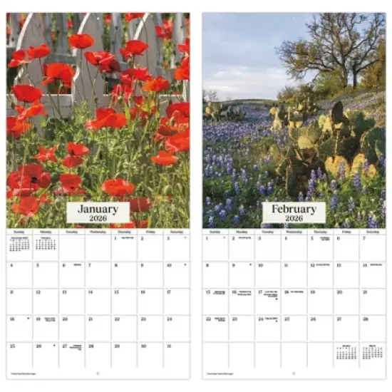 Trends International 2026 Texas Wildflowers 12"x12" Wall Calendar image {5}