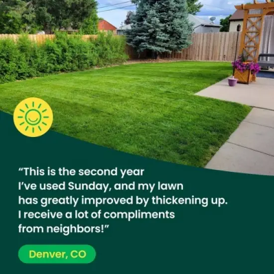 Sunday Water Focus Fertilizer 42fl oz image {6}