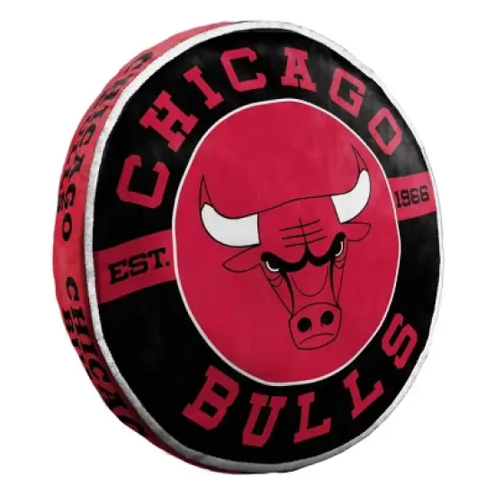 NBA Chicago Bulls 15" Cloud Pillow image {1}