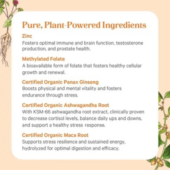 Pure Synergy Vita&bull;Min&bull;Vitality&reg; for Men &ndash; Multivitamin with Adaptogens for Energy & Hormone Support | 60 Tablets image {4}