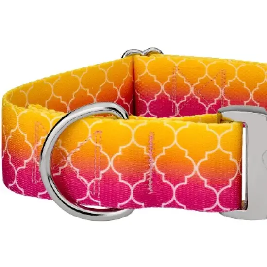 Country Brook Petz HossFit Jr Wide Premium Dog Collar - Abstract Collection image {3}