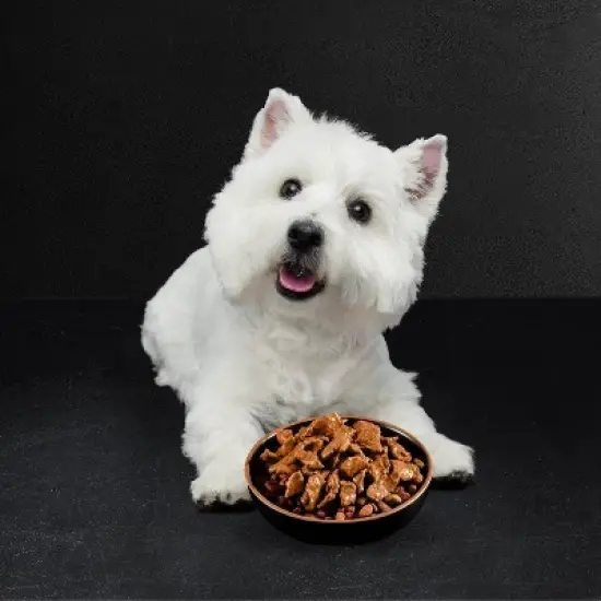 Cesar Rotiserrie Chicken, Steak and Gravy Flavor Variety Pack Pouch Small Breed Wet Dog Food - 35.2oz/20ct image {5}