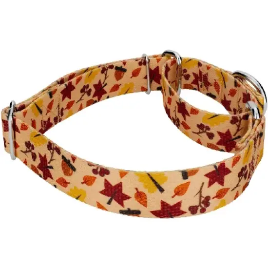 Country Brook Petz Fall Foliage Martingale Dog Collar and Leash image {2}