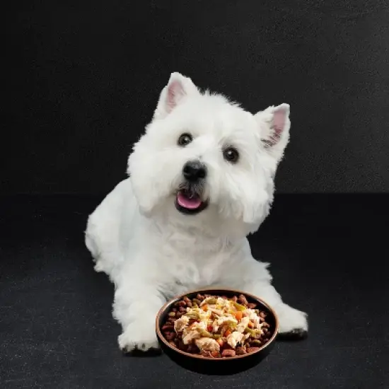 Cesar Simply Crafted Chicken, Carrots & Green Beans Adult Wet Dog Food Meal Topper -1.3oz image {2}