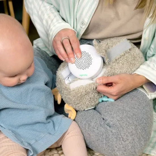 Ingenuity Snuggle Sound Nally Soothing Plush Crib Toy image {3}