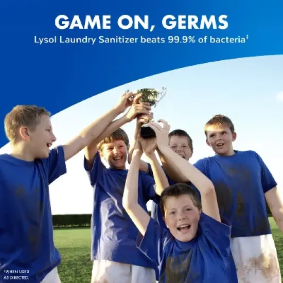 Lysol Laundry Sanitizer Lavender Fusion - 21 fl oz image {6}