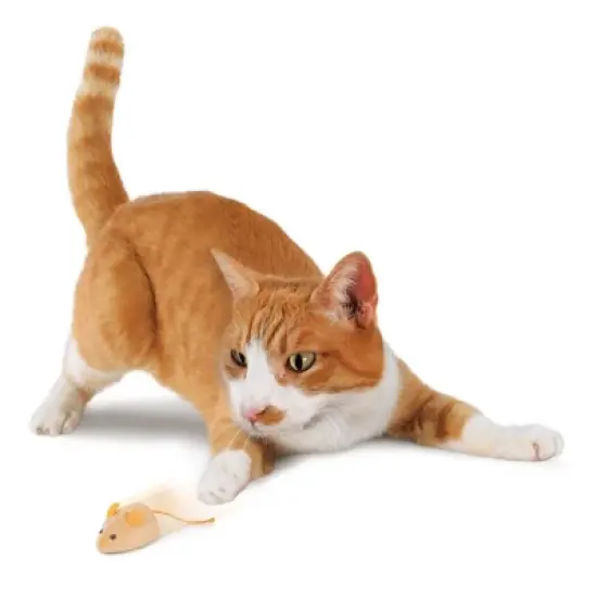 SmartyKat Race 'N' Chase Remote Control Mouse Electronic Cat Toy image {4}