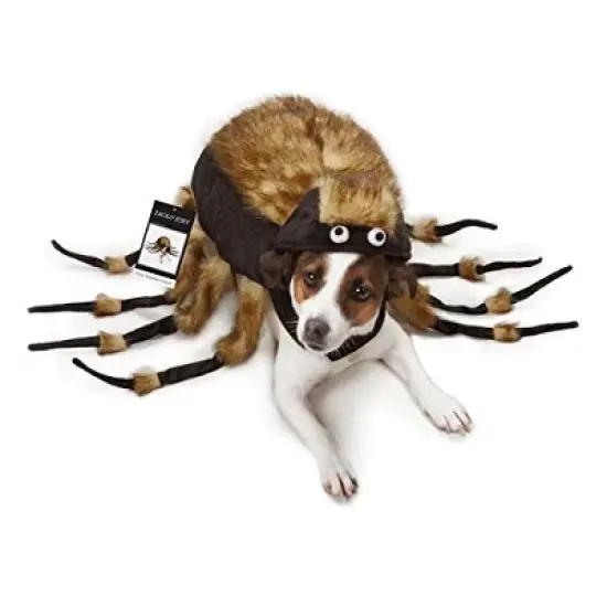 Zack & Zoey Fuzzy Tarantula Costume for Dogs image {3}