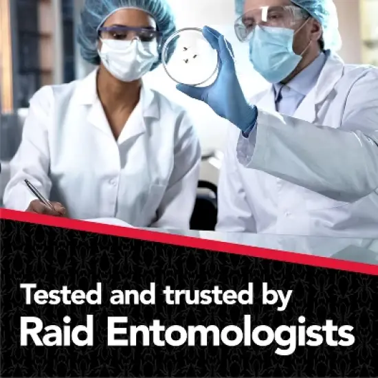 Raid Max Liquid Ant Baits Insecticides - 8ct image {7}