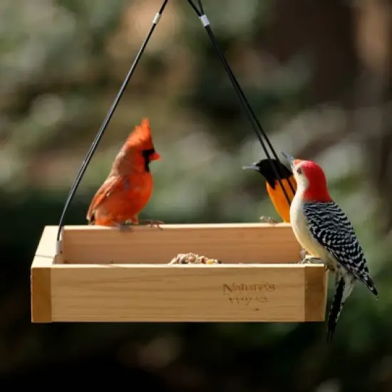 Nature's Way Cedar Tray Bird Feeder: Weather-Resistant Wood, No Assembly, 12x12 Hanging Design image {2}