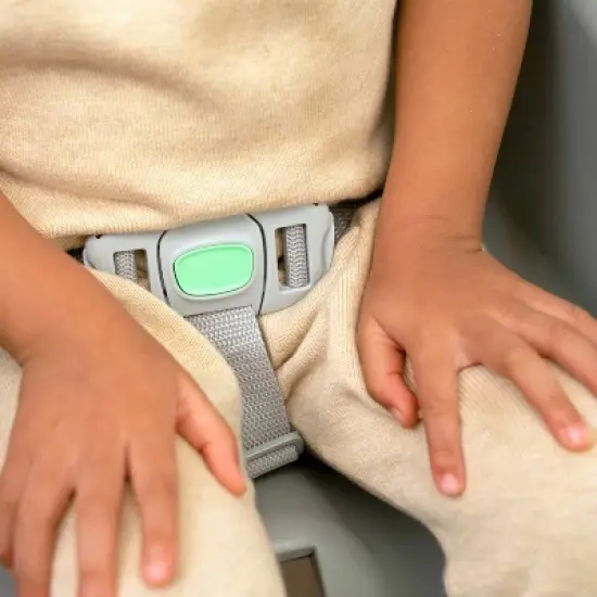 Ingenuity Full Course SmartClean 6-in-1 High Chair - Slate image {16}