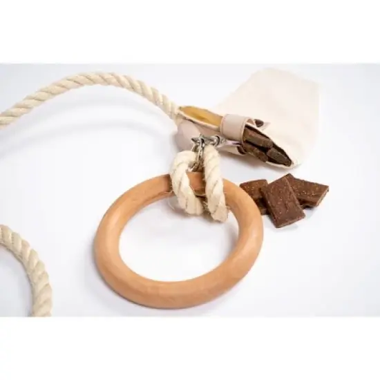 American Pet Supplies Carbon Neutral Eco Friendly Dog Leash with Small Storage Bag image {2}