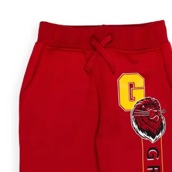 Harry Potter Gryffindor Fleece 2 Pack Pants image {5}