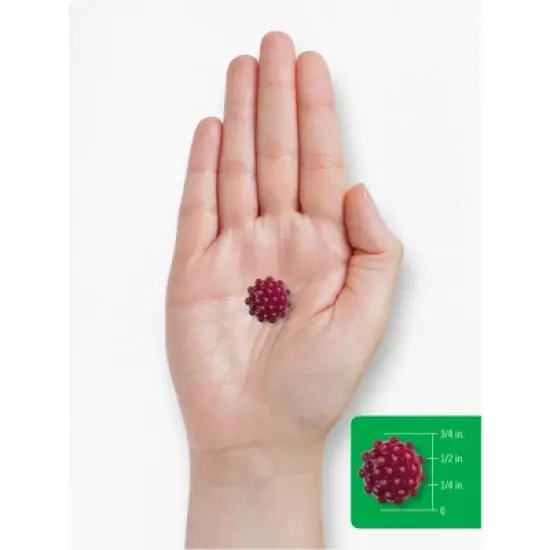 Carlyle Kids Melatonin Gummies | 1 mg | 100 Count | Fruit Flavor image {7}