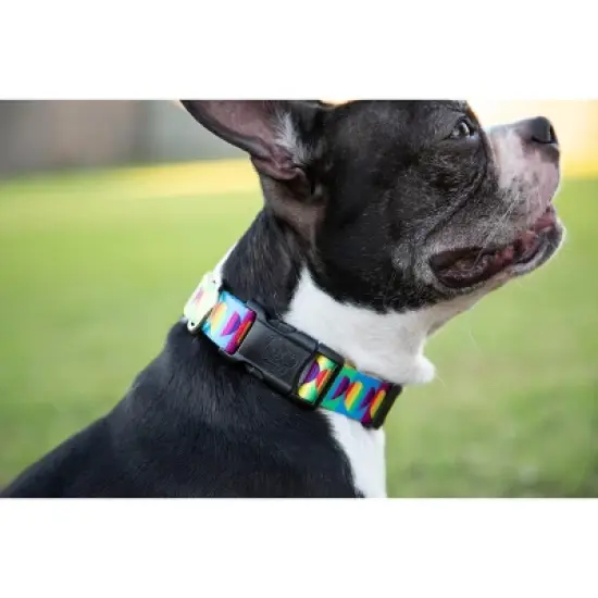 Country Brook Petz Deluxe Rainbow Hearts Dog Collar - Made In The U.S.A. image {1}
