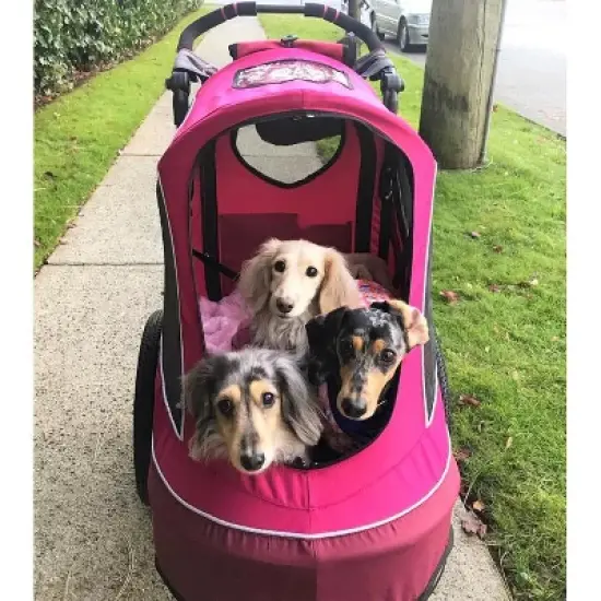 Petique All Terrain Cozy & Comfortable Pet Jogger Stroller with Tire Pump - Up to 77 LB image {1}