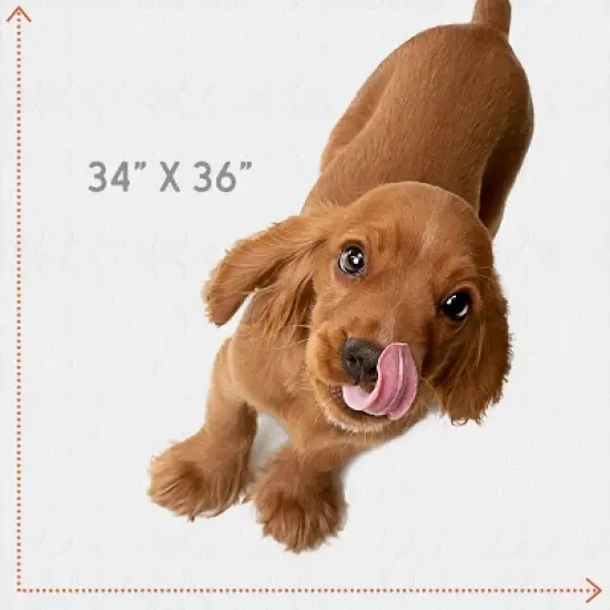 MaxProtect Triumph Reusable Pee Pads for Dogs, Training Underpads, Maximum Absorbency - 34" x 36" image {2}
