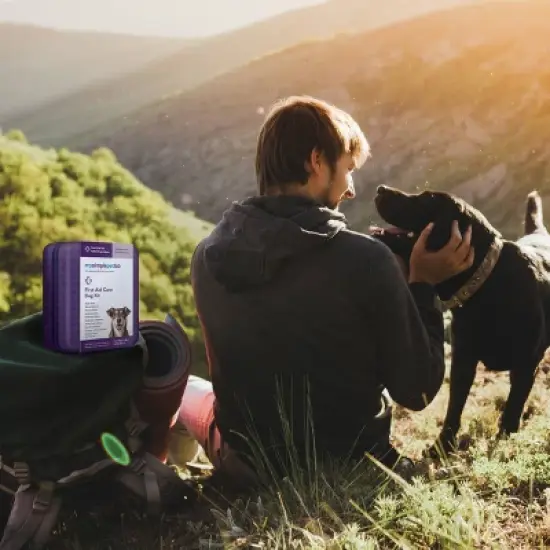 MySimplePetLab Dog First Aid image {3}