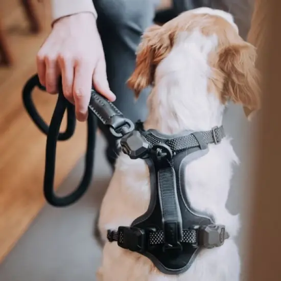 HOOZA Rope Dog Leash - 1" x 5', Dog Outdoor Accessory - Magnetic Quick Clip, Heavy Duty image {2}