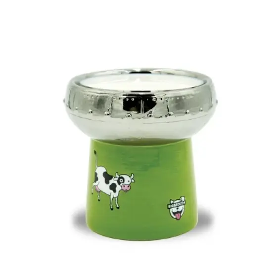 BigMouth Inc. UFO Elevated Cat and Dog Bowl image {1}