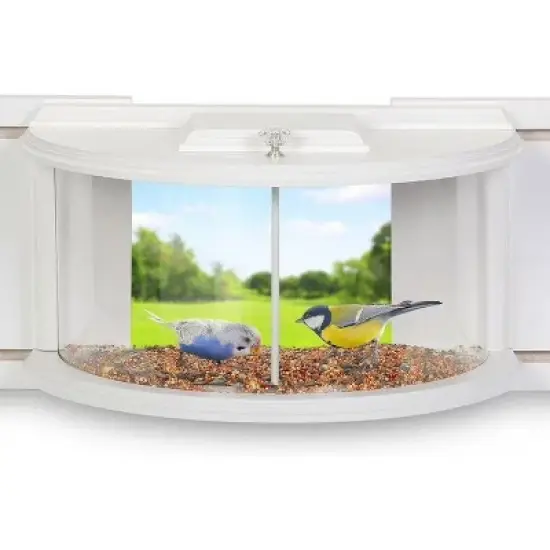 Snynuxx Window Bird Feeder Inside House with 180&deg; Clear View, Durable Wood and Safe Birder Feeder, White image {8}