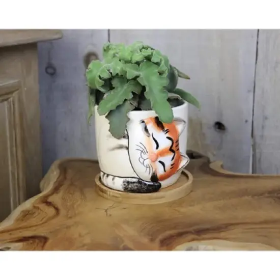 Window Garden Animal Planters - Large Tiger Kitty Pot for Indoor Live Plants, Succulents, Flowers & Herbs image {1}