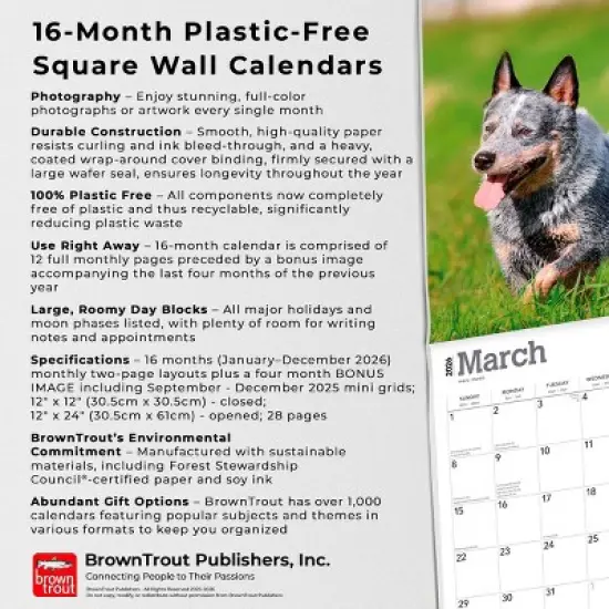 BrownTrout Blue Heelers 2026 12"x24" Hanging Square Wall Calendar Plastic-Free image {5}