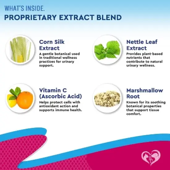 Beloved Pets Urinary Tract Support Supplement with Cranberry for Cats and Dogs, Kidney Bladder Health Natural Renal Care Liquid Drops 2 Oz - 1 Pack image {3}