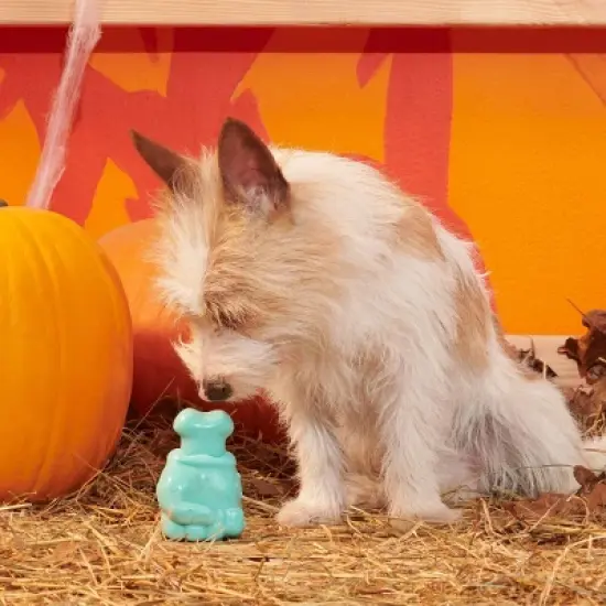 BARK Halloween Super Chewer Knock 'Em Dead Dog Toy image {4}