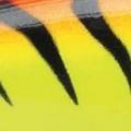 Rapala Jointed Shad Rap 05 Fishing Lure image {2}