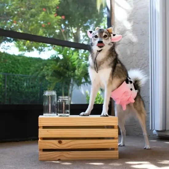 Midlee Cow Headband & Udder Dog Costume image {2}