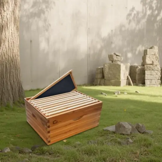 10 Frame Bee Hive Box, Wax Coated Honey Super Bee Hive Kit with Frames and Foundations Sheets for Beginners Beekeepers, Deep Box image {7}