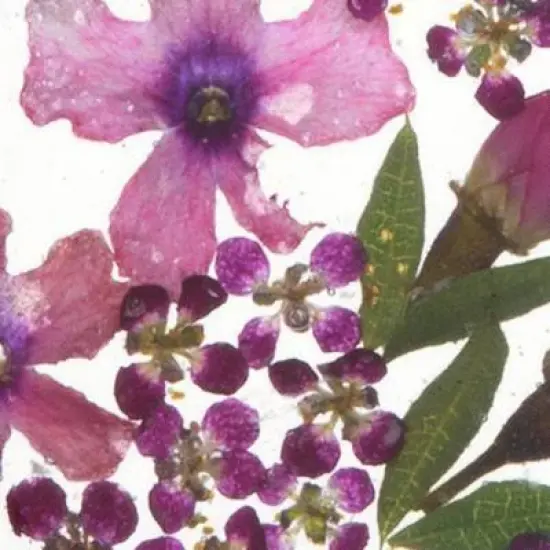 Women's Sterling Silver Pressed Flowers Small Round Pendant (18") image {2}