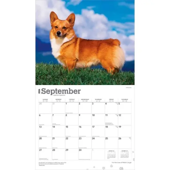 BrownTrout For the Love of Welsh Corgis 2026 14"x24" Hanging Deluxe Wall Calendar Plastic-Free image {3}