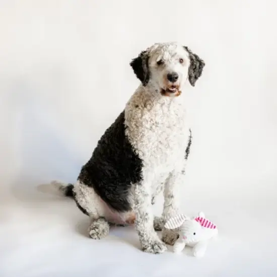 Midlee Stripe Ears White Easter Rabbit Dog Toy image {4}