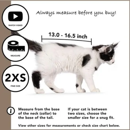 Suitical Recovery Suit for Cats - Comfortable Alternative To A Cat Cone - Black Camouflage image {2}