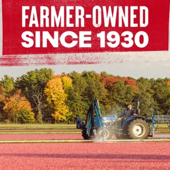 Ocean Spray Jellied Cranberry Sauce - 14oz image {6}