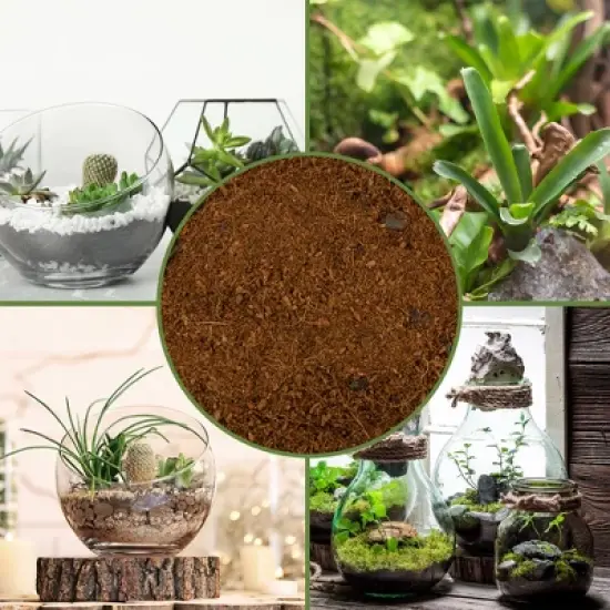 Soil Sunrise Terrarium Potting Soil Mix, w/ Blended Filtering Charcoal for Terrariums image {2}