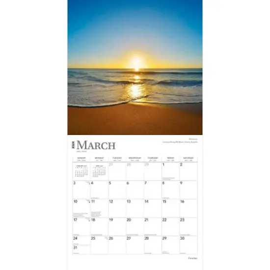 Browntrout 2024 Wall Calendar 12"x12" Paradise image {2}