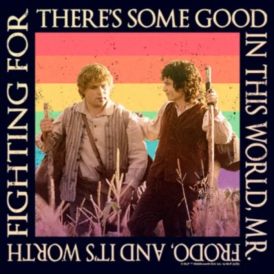Junior's Lord of the Rings Fellowship of the Ring Frodo and Samwise There's Some Good Rainbow T-Shirt image {1}