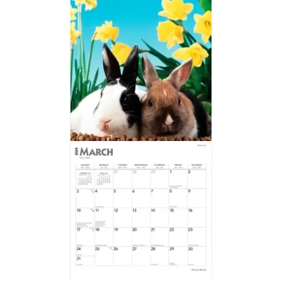 Browntrout 2024 Wall Calendar 12"x12" Honey Bunny image {2}