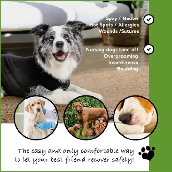 Suitical Recovery Suit for Dogs with Click Up System - Black image {1}