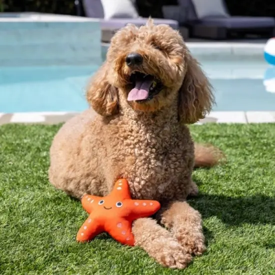 PetShop by Fringe Studio Shelly Floating Dog Interactive Toy image {5}