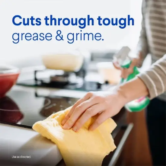 Clorox Original Clean-Up All Purpose Cleaner with Bleach Spray Bottle - 32oz image {5}