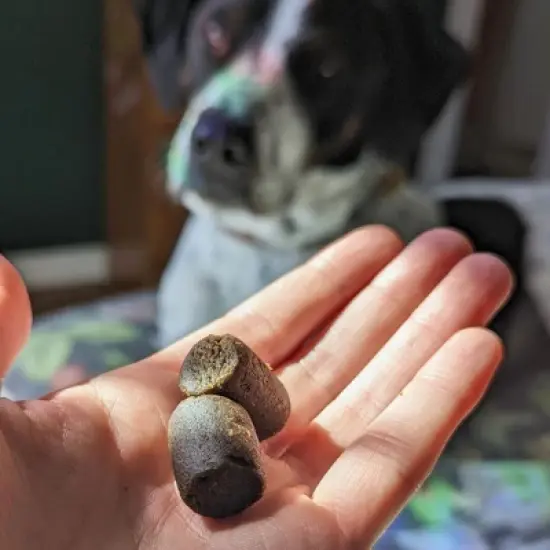 Hemp Well Hip & Joint Dog Soft Chews for Comfort and Mobility image {4}