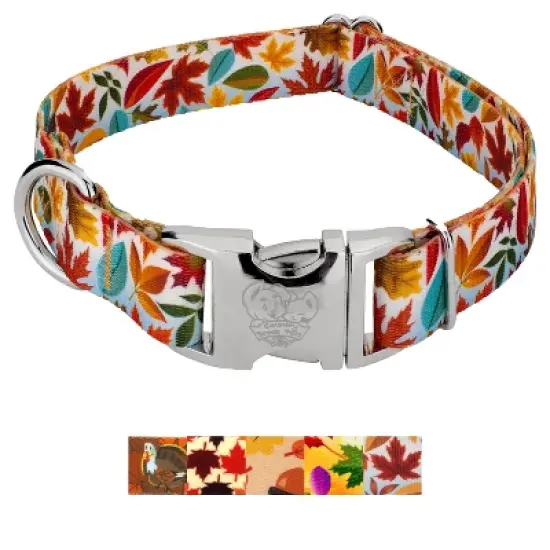 Country Brook Petz Premium Dog Collar - Awesome Autumn Collection image {6}